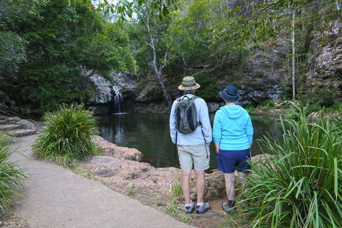 Kondalilla Falls Circuit, Kondalilla National Park - Sunshine Coast Guide 1