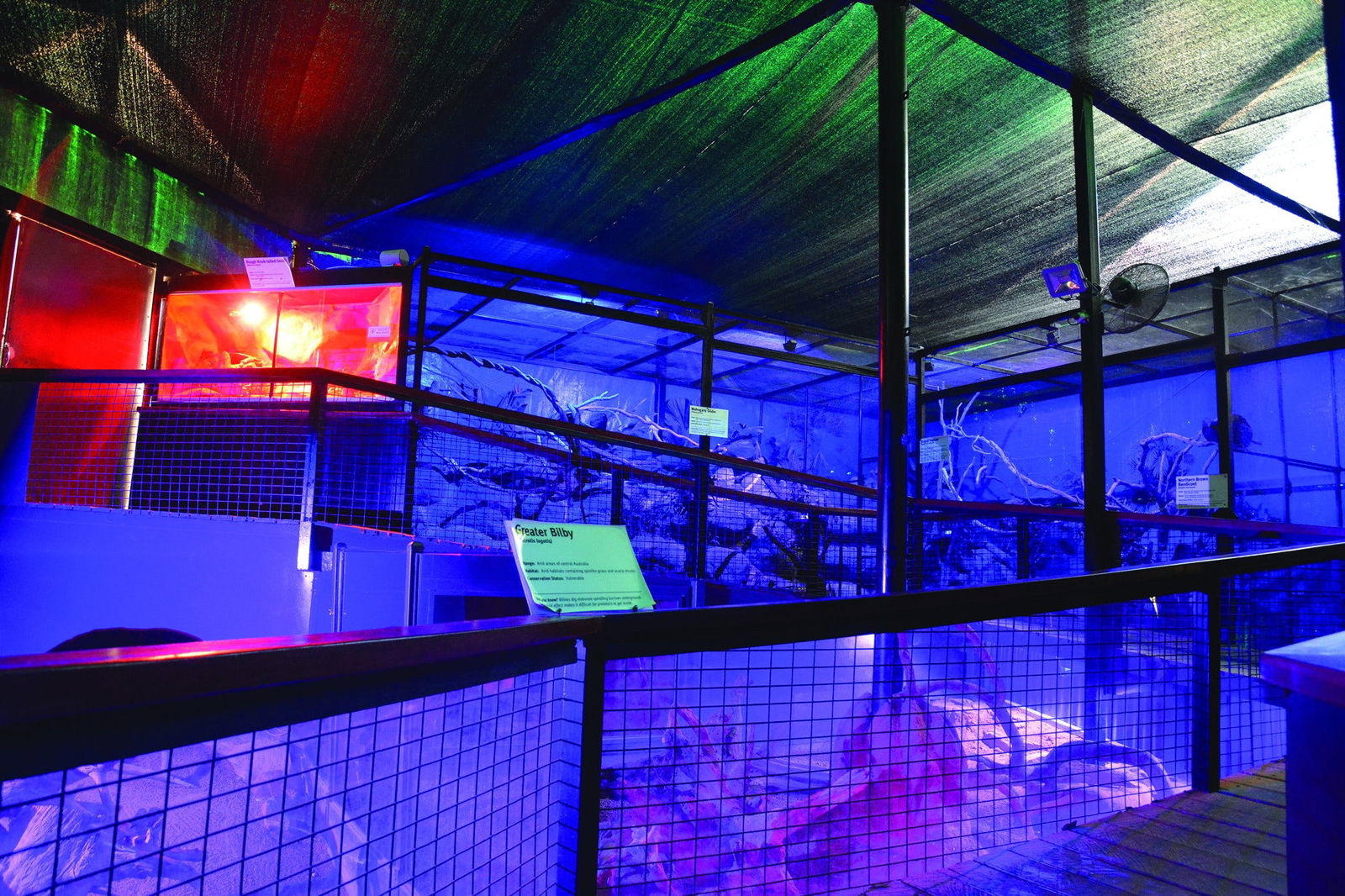 Kuranda Koala Gardens Logo and Images