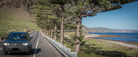 Lady Bay Beach - Victoria Tourism 0