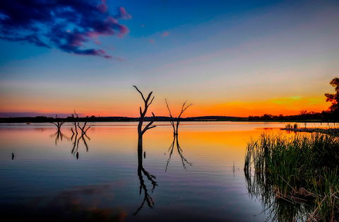 Lake Wyangan - Tourism Bookings 0