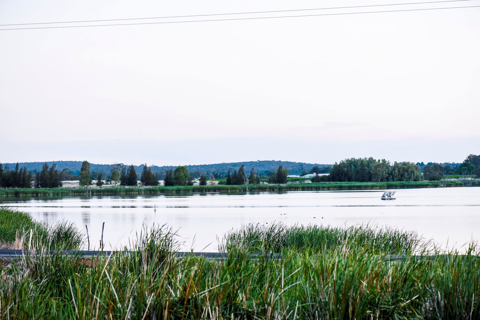 Lake Wyangan Logo and Images