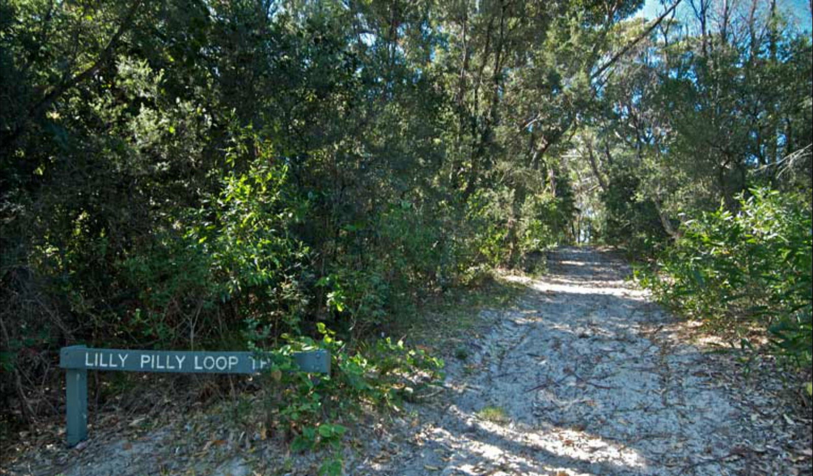 Lillypilly loop trail Logo and Images