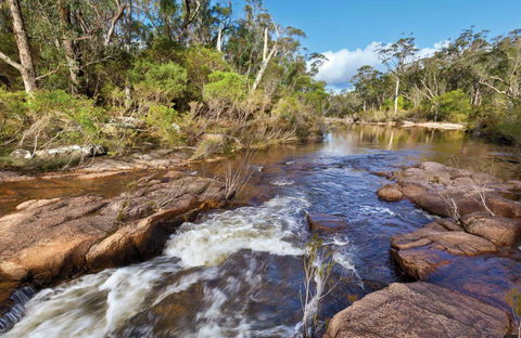 Little Dandahra Creek Walking Track - Accommodation Brisbane 0