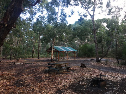Long Lead Picnic Area And Campground - Accommodation Ballina 0