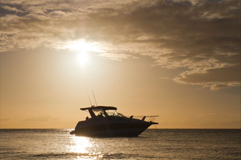 Maaroom - Sunshine Coast Guide 0
