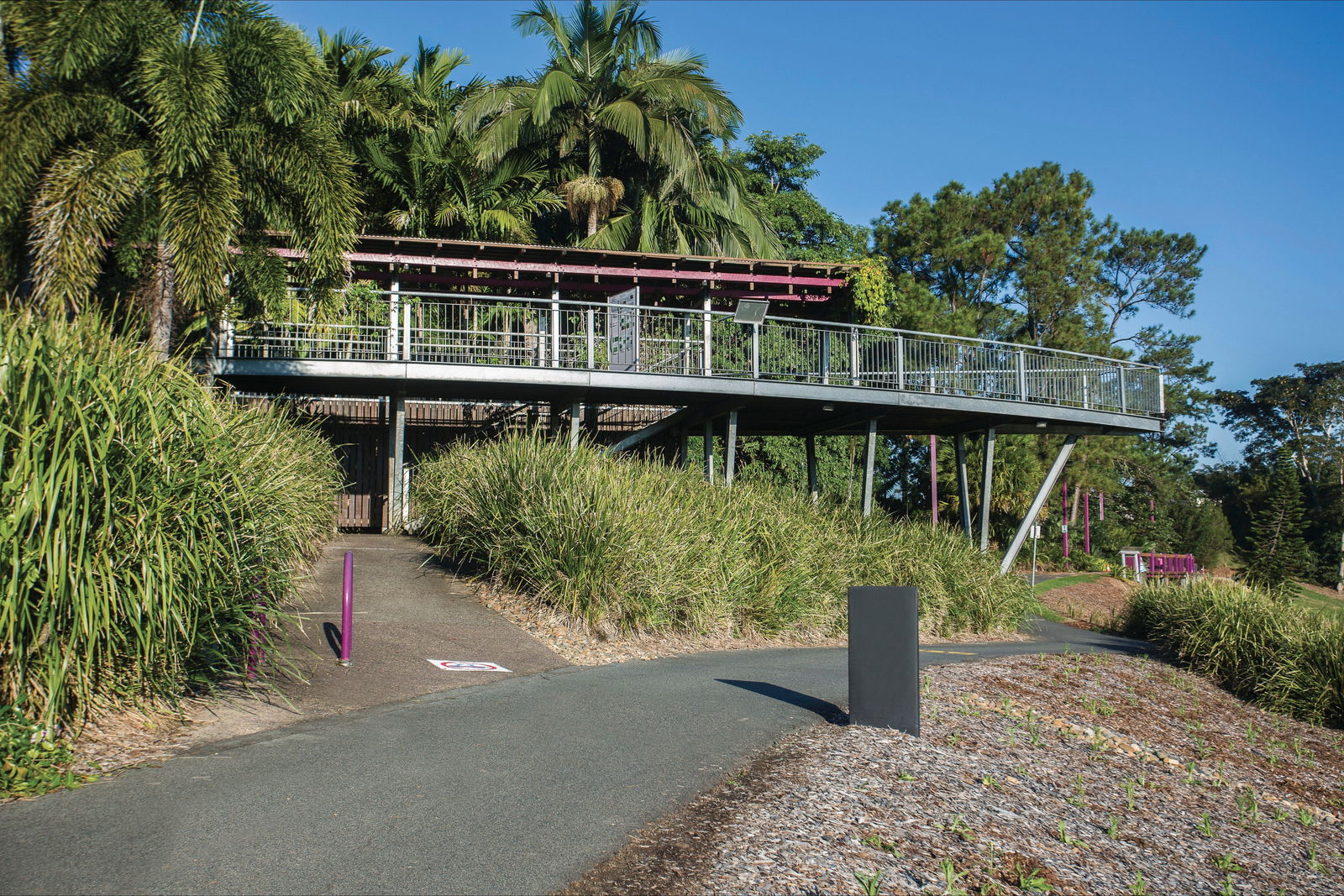 Mackay Regional Botanic Gardens Logo and Images