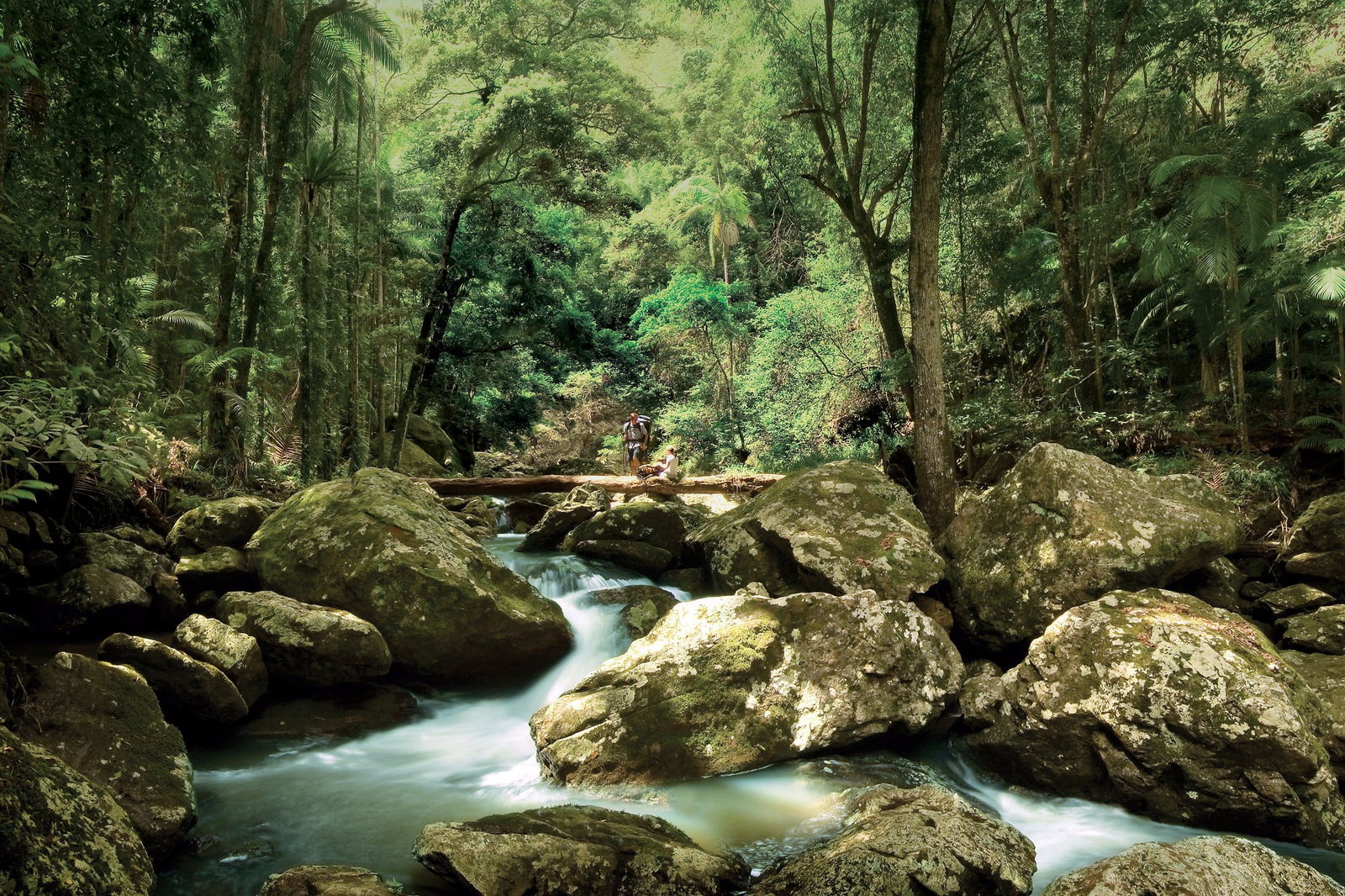 Maleny Logo and Images