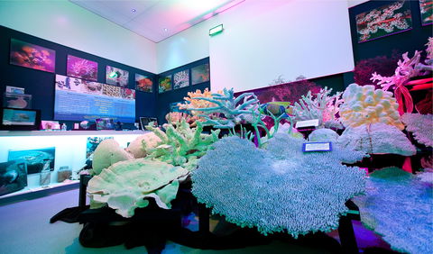 Marine Discovery Centre Hastings Point - Northern Rivers Accommodation 2