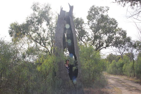 Martin Bend Wetland And Walking Trail - Accommodation Asia 1
