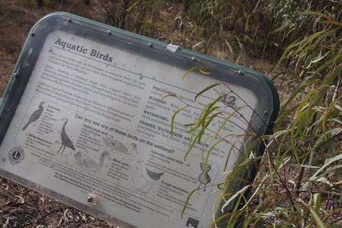 Martin Bend Wetland And Walking Trail - Accommodation Asia 2