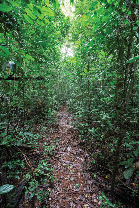 Misty Mountains Wilderness Tracks - Accommodation Fremantle 1
