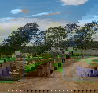 Moorebank Vineyard - Accommodation Hamilton Island