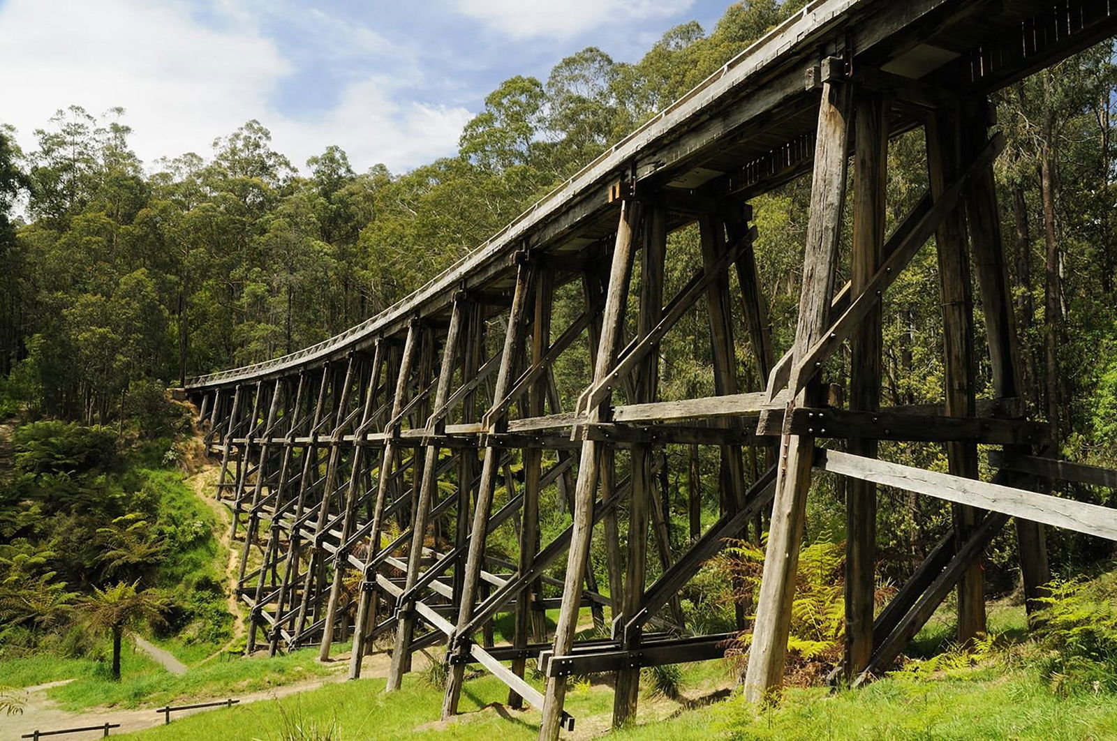 Noojee Trestle Bridge Logo and Images