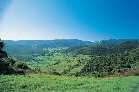 Numinbah Section, Springbrook National Park - Kingaroy Accommodation 0
