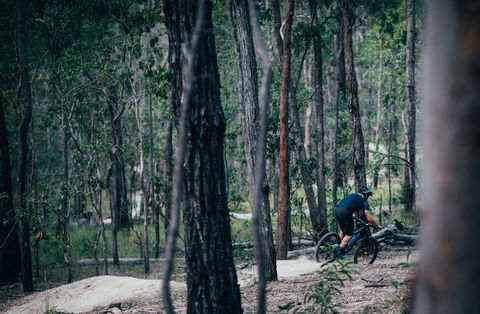 Old Tambo Downhill Mountain Bike Track - Yamba Accommodation 0