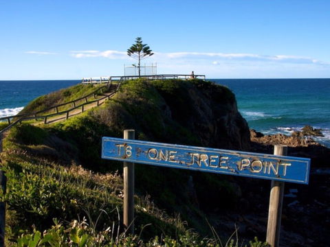 One Tree Point Lookout And Picnic Area - Accommodation Whitsundays 0
