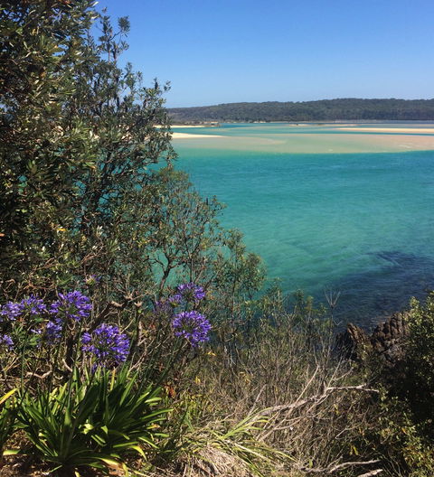 One Tree Point Lookout And Picnic Area - Accommodation Whitsundays 2