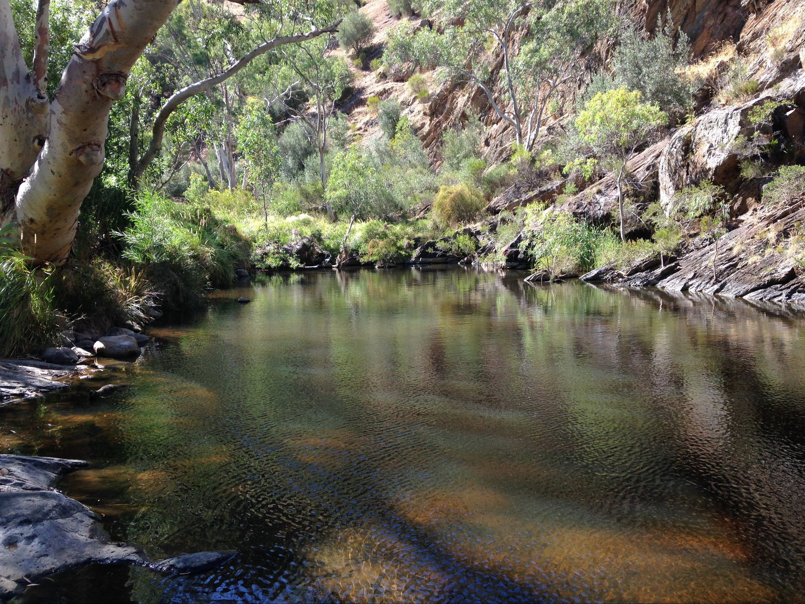 Onkaparinga River National Park Logo and Images