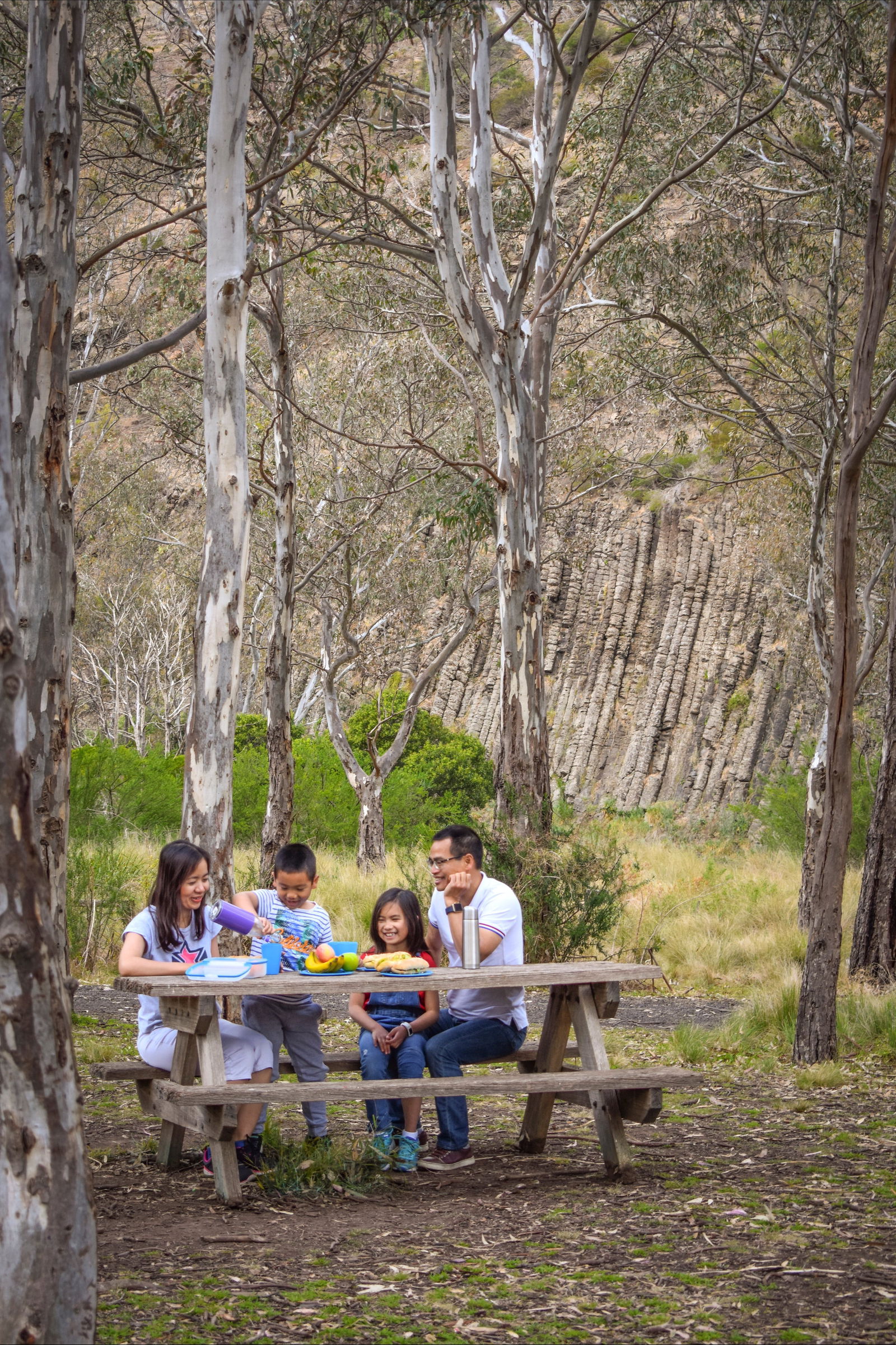 Organ Pipes National Park Logo and Images