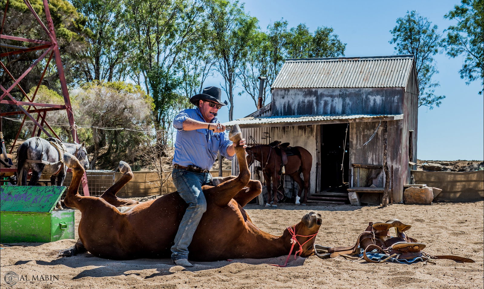 Outback Stockman's Show Logo and Images