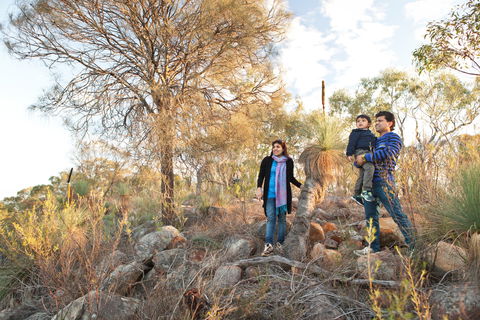 Para Wirra Conservation Park - Accommodation NT 0