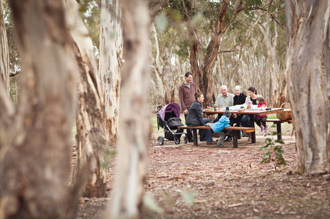 Para Wirra Conservation Park - Accommodation NT 1