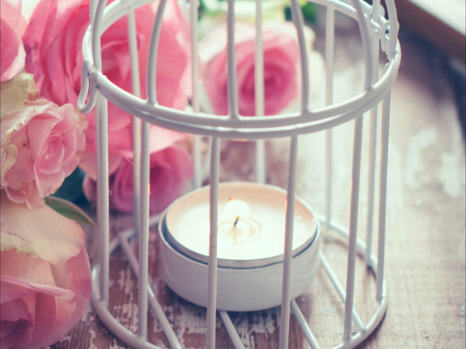 Passionfish Candles Logo and Images