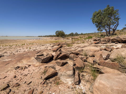 Peery Lake Picnic Area - Surfers Gold Coast 0
