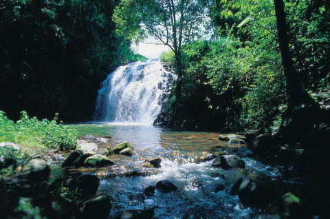 Pepina Falls - Accommodation Redcliffe 0
