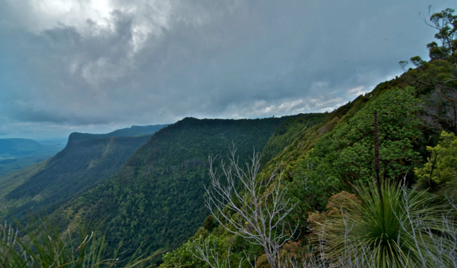 Pinnacle Walk and Lookout Logo and Images