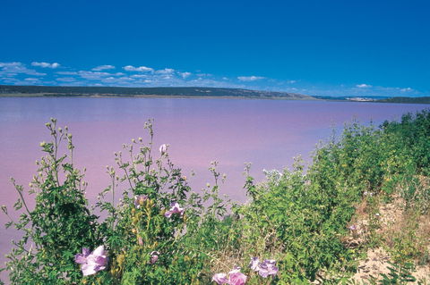 Port Gregory - Attractions Perth 0