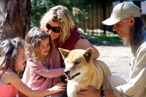 Potoroo Palace Native Animal Sanctuary - Accommodation NT 0