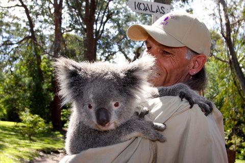 Potoroo Palace Native Animal Sanctuary - Accommodation NT 2