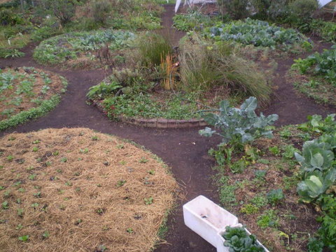 Purple Pear Farm - Accommodation Hamilton Island 1