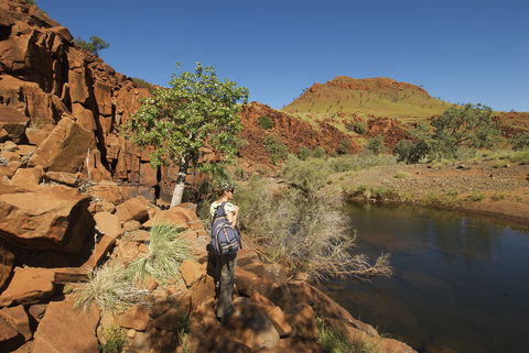 Rail Access Roads - Pilbara - Whitsundays Accommodation 1
