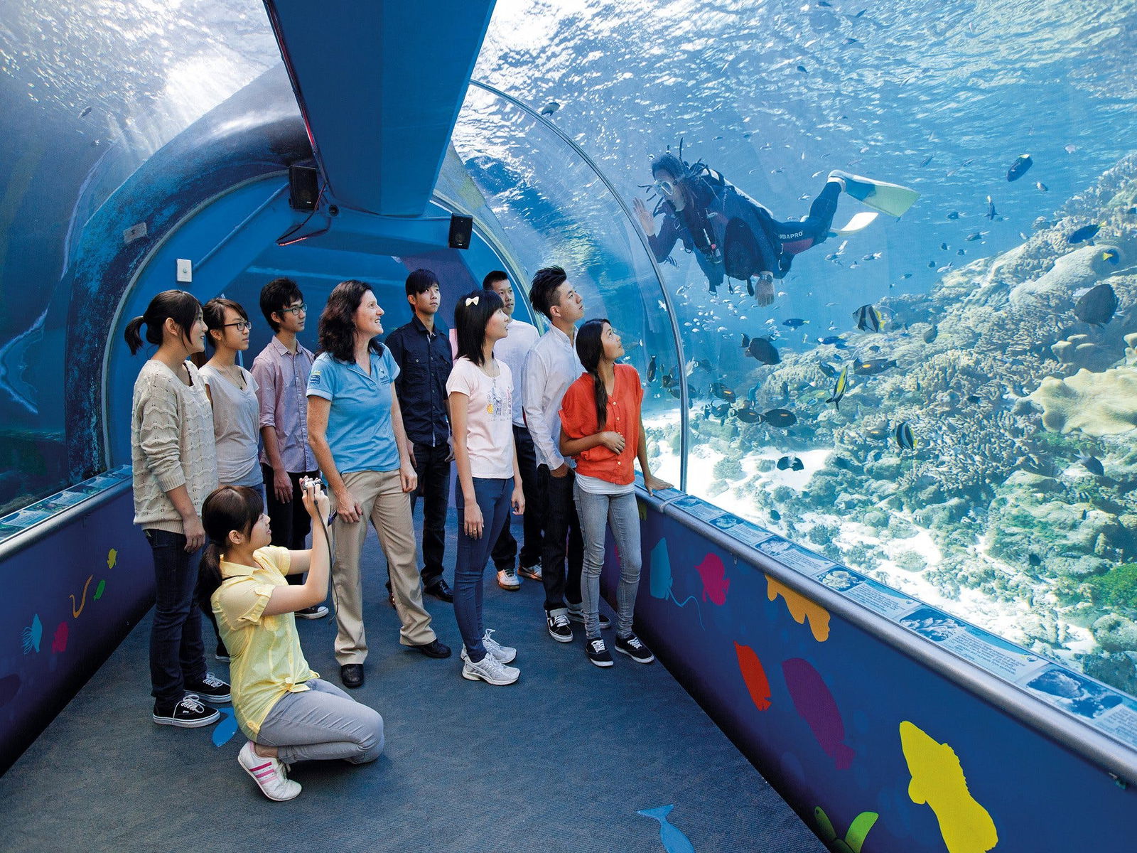 Reef HQ Aquarium Logo and Images