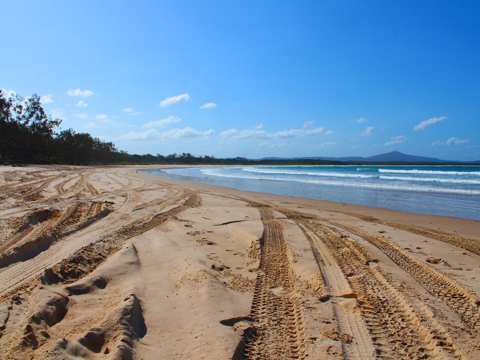 Sandon Beach Logo and Images
