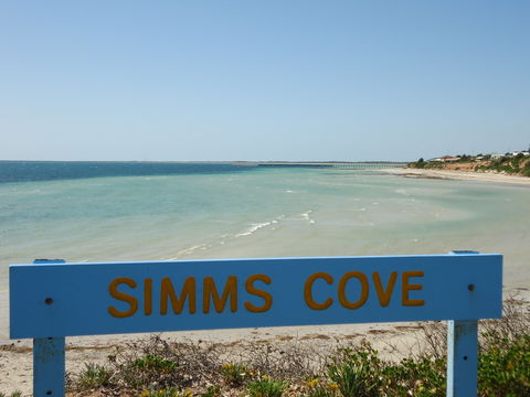 Simms Cove Lookout And Beach, Moonta Bay - Accommodation Georgetown 0