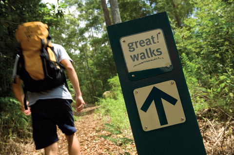 Sunshine Coast Hinterland Great Walk - Accommodation Nelson Bay 0