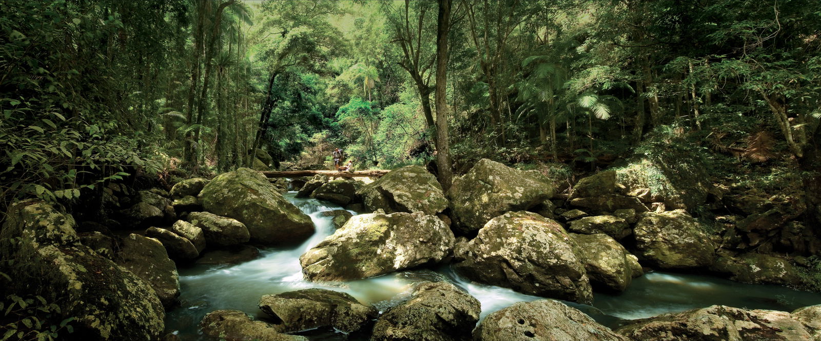 Sunshine Coast Hinterland Great Walk Logo and Images