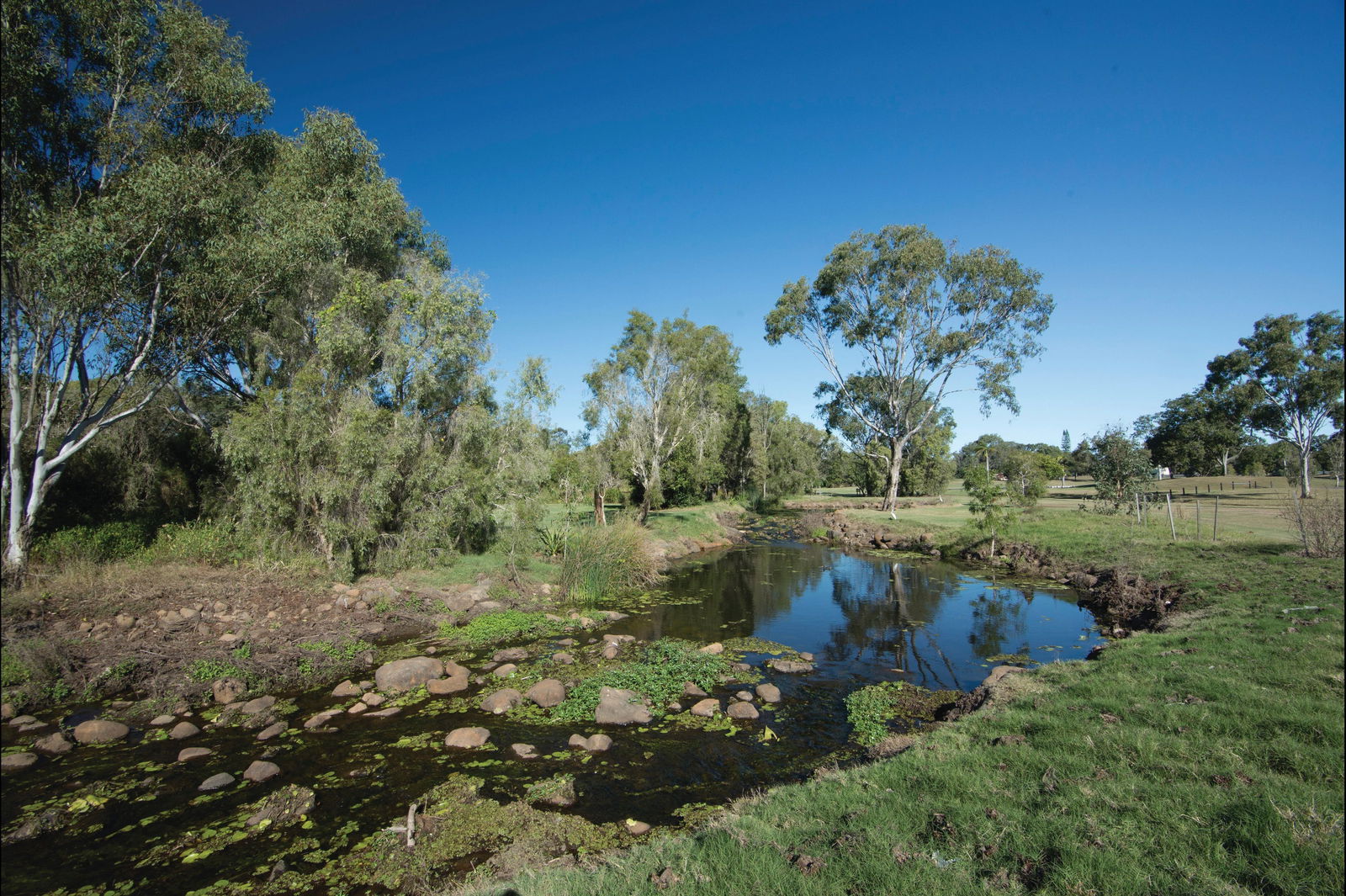 Millbank QLD Tourism Brisbane