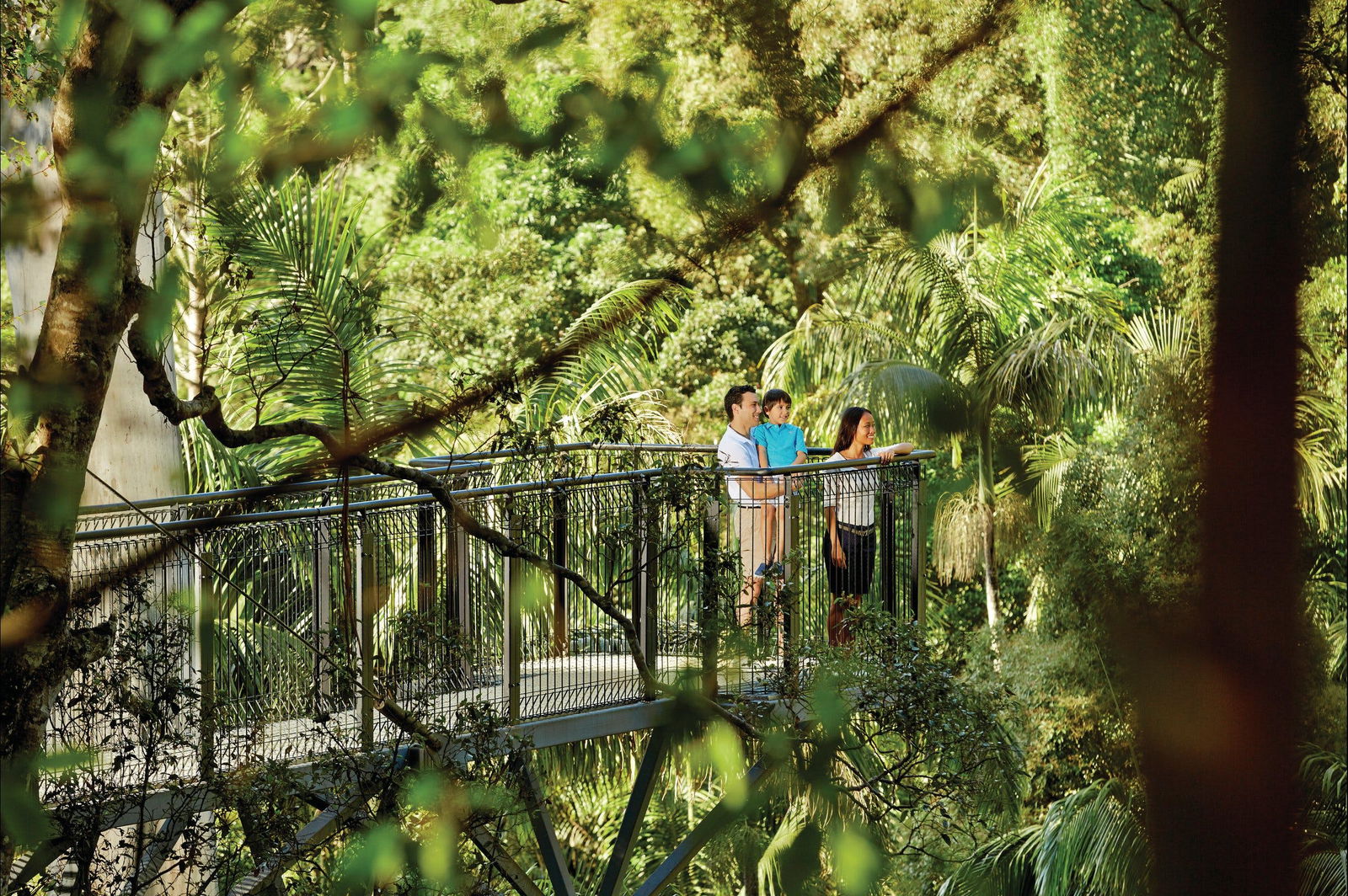 Mount Tamborine QLD Tourism Bookings WA
