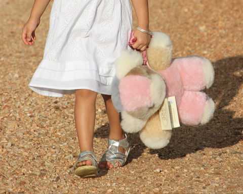 Tambo Teddies - New South Wales Tourism  2