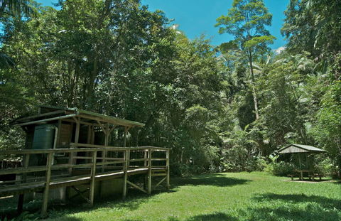 Terania Creek Picnic Area - Accommodation Ballina 0