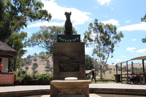 The Dog On The Tucker Box - Accommodation Sunshine Coast 2