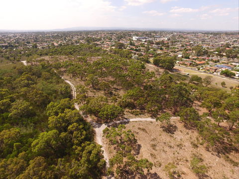The Pines Flora And Fauna Reserve - Accommodation QLD 0