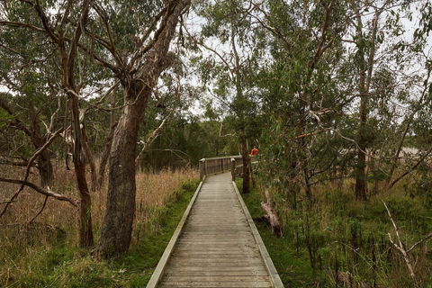 The Briars Park Walking Trails - Northern Rivers Accommodation 0