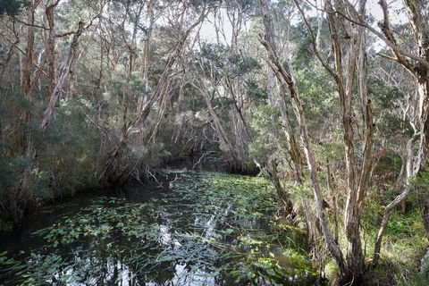 The Briars Park Walking Trails - Northern Rivers Accommodation 2