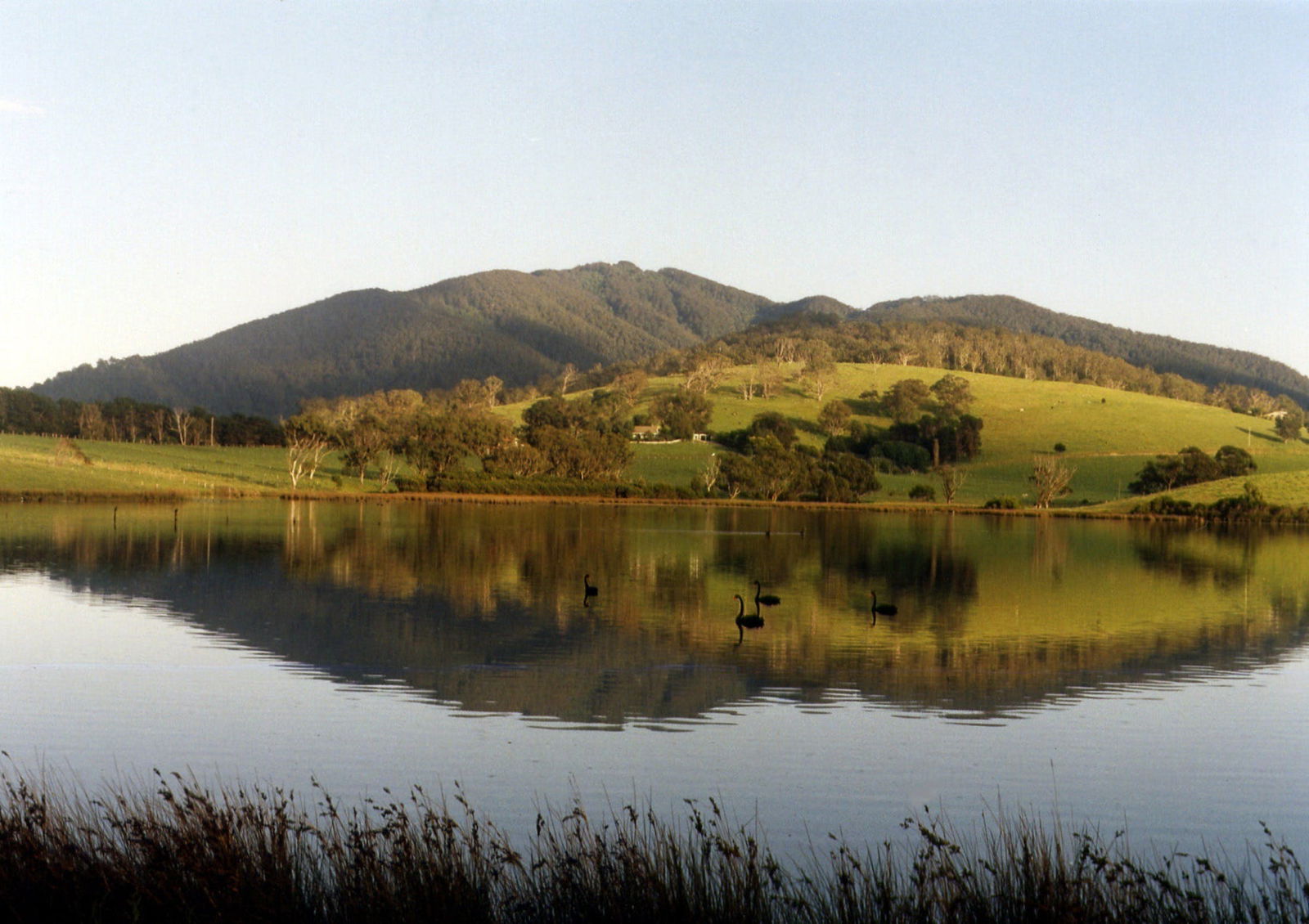 The Tilba District Heritage Areas Logo and Images