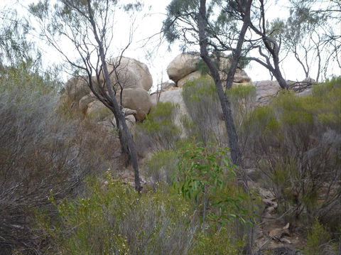 Tolmer Rocks - Mount Boothby Conservation Park - Broome Tourism 0